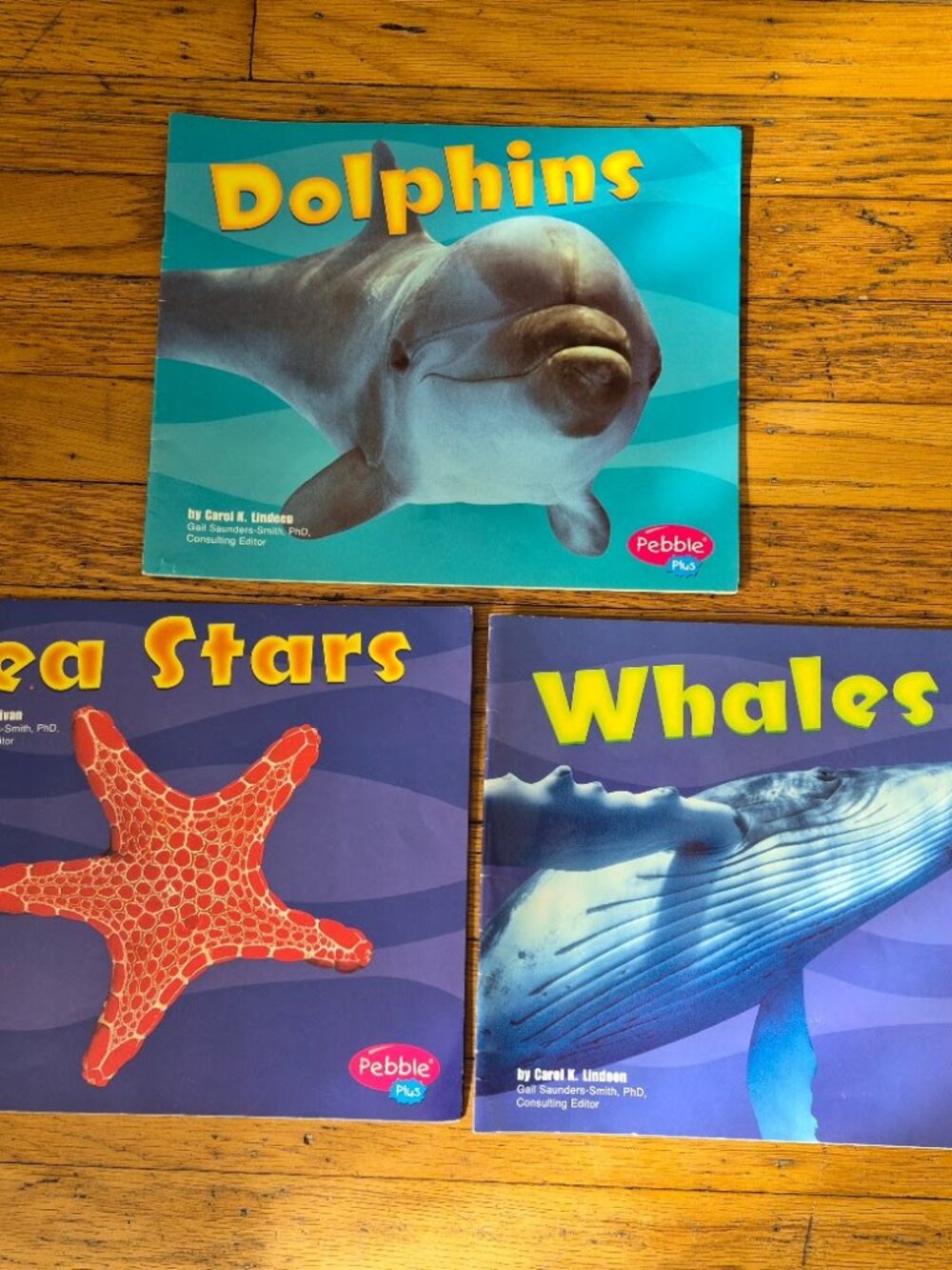 3 Pebble Books: Dolphins, Sea Stars, Whales